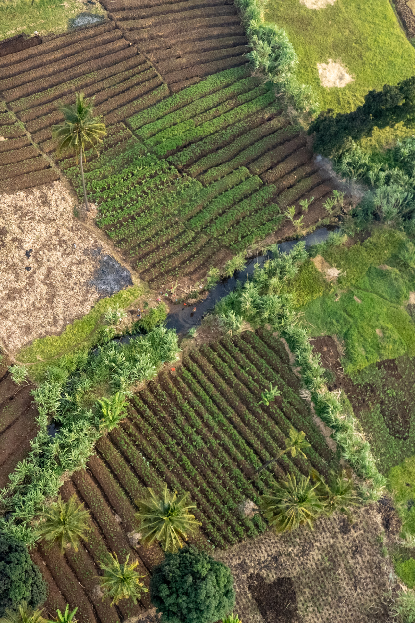 agroecology and agroforestry